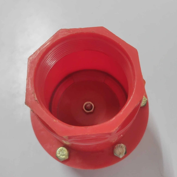 Check Valve PP 2"