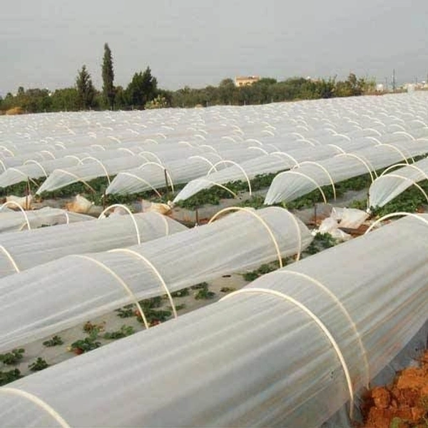 Crop Cover 1.6MTR 400MTR