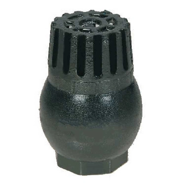Foot Valve CI 2.5" Spring
