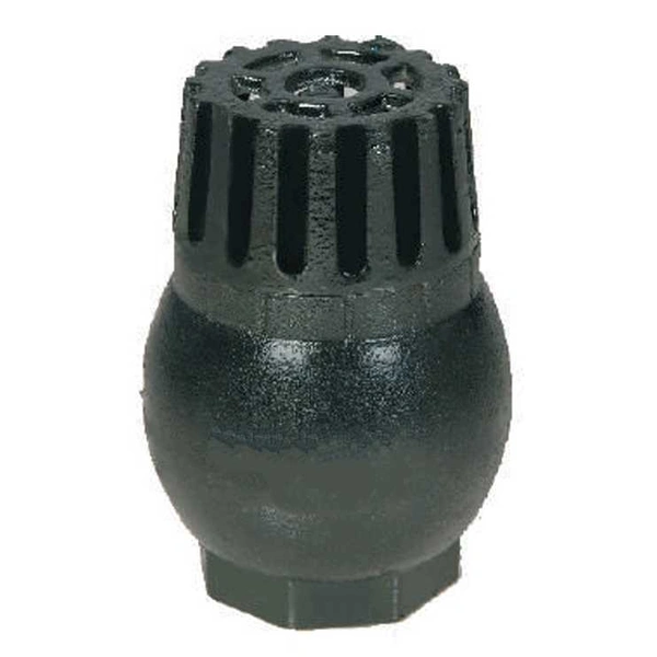 Foot Valve CI 3" Spring
