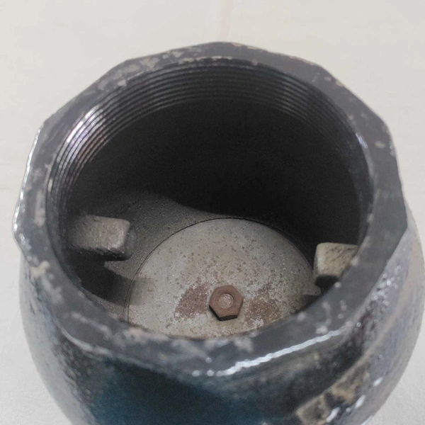 Foot Valve CI 3" Spring