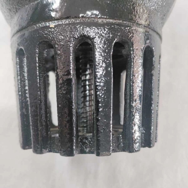 Foot Valve CI 3" Spring