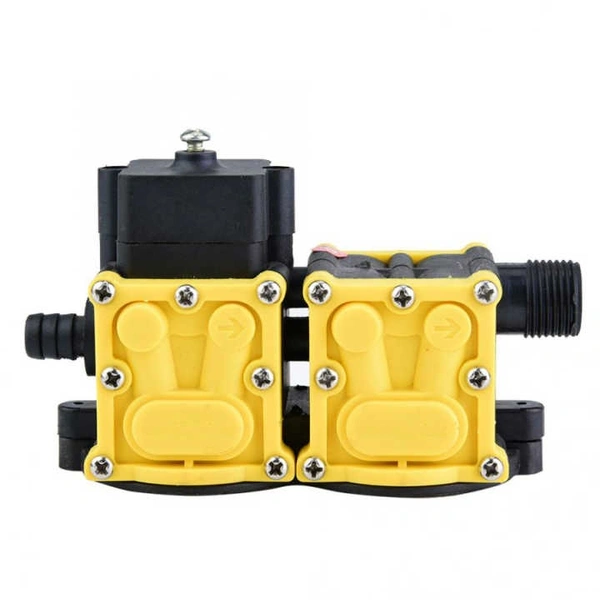 Spray Pump Double Motor Assembly