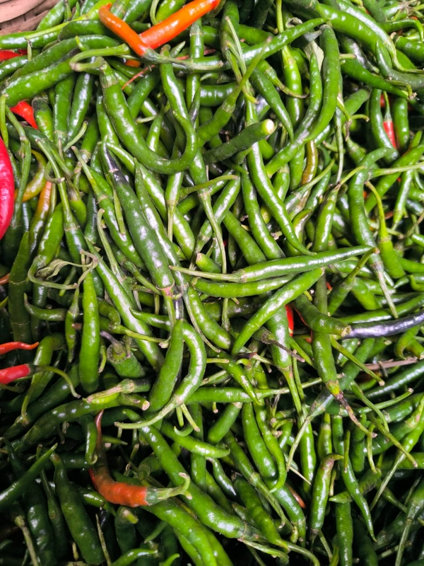 Grenn Chilli - 500gm