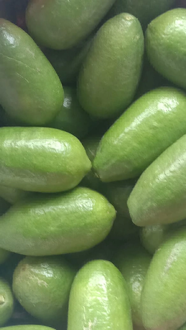 Lemon - Mint Green