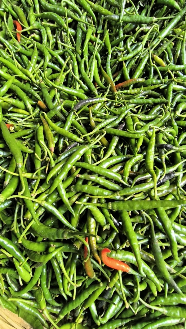 Green Chilli  - Green, 250