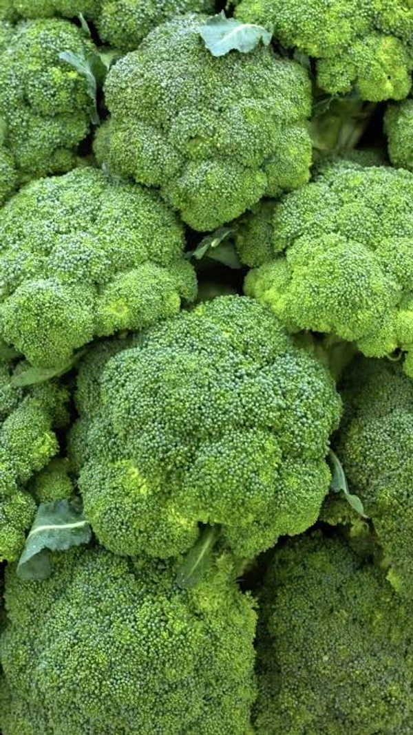 Broccoli 