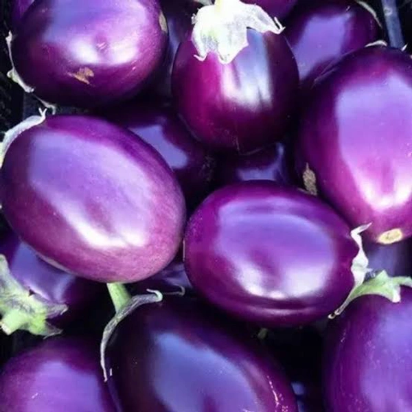 Round Brinjal 