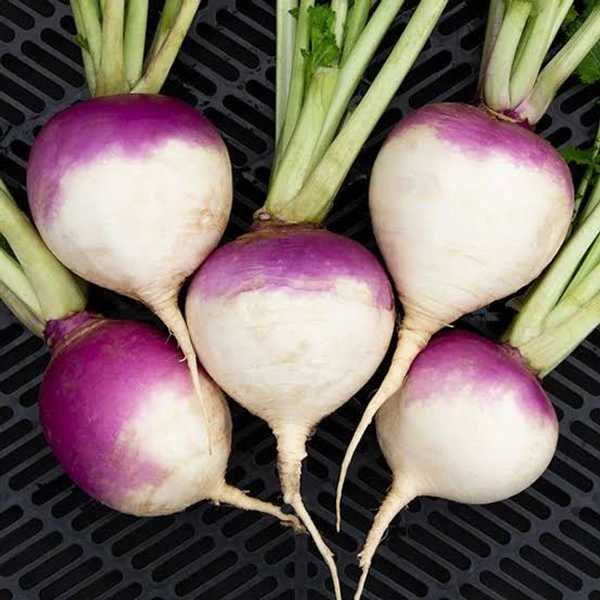 Turnip( Salgam)