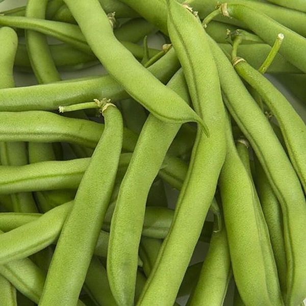Beans