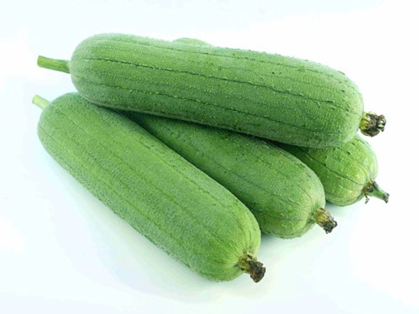 Small Sponge Gourd