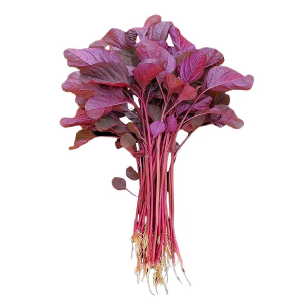 Amaranthus Leaf