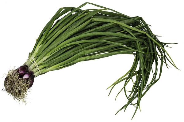 Spring Onion  - 1kg