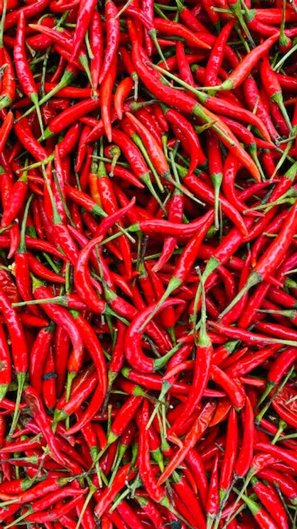 Red Chilli  - Medium