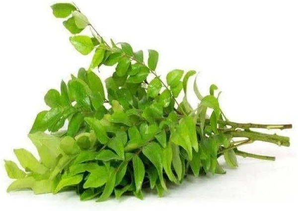 Curry Leaf 