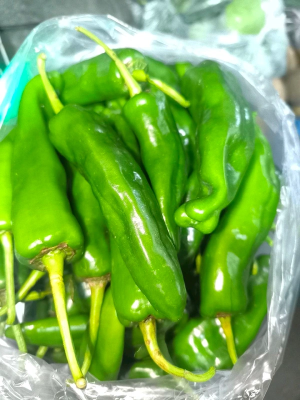 Long Capsicum (Simla Mirch) - Green
