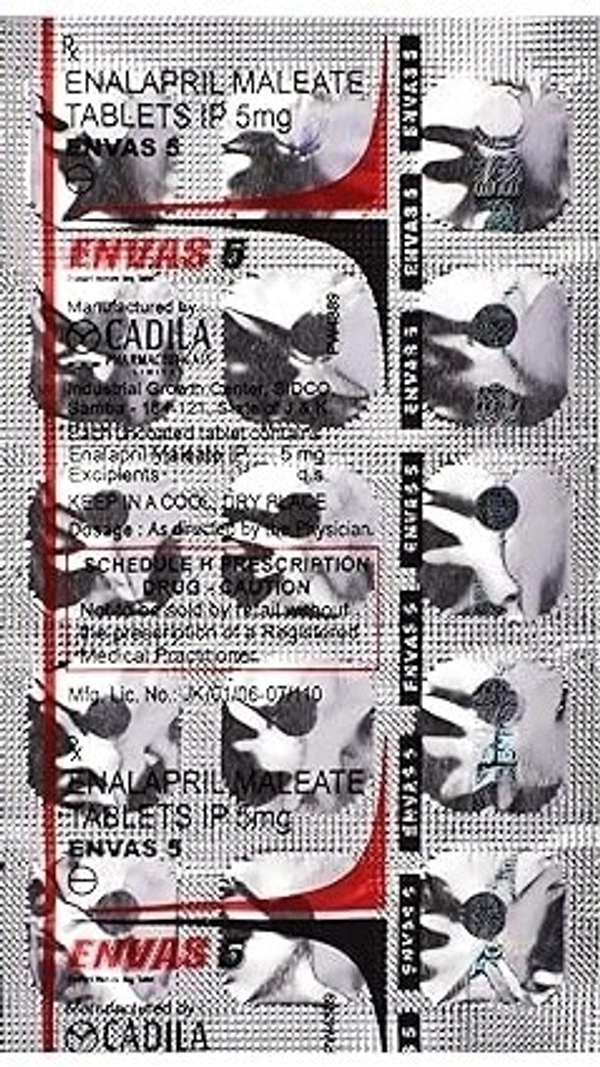 Envas 5