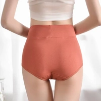Women's Cotton High Waist Panty - Free Size, 4