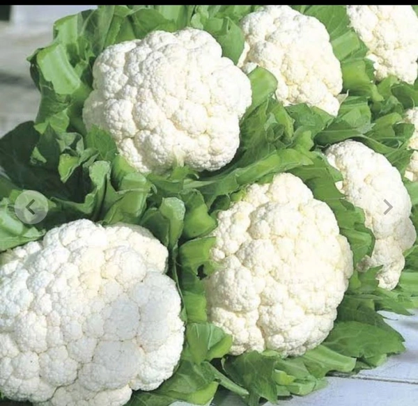 Zfsan Free Delivery  ₹60 Frees Phool Gobi JM 80 - 1 Kg