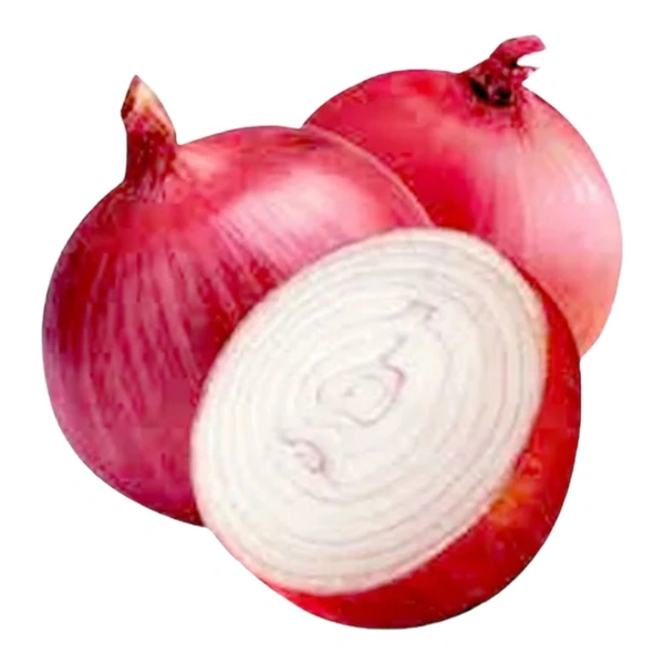 Zfsan Free Delivery  ₹50 Fresh Onion JM 60 - 1 Kg