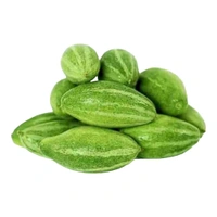Zfsan Free Delivery  ₹30 (500) Gm Fresh Parwal JM 40 - 500 Gm
