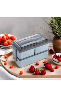 Plizzo Kitchenware  ₹136 WCP Primium Quality 3 Compartment Lunch Box cp888x M 158 - Grey