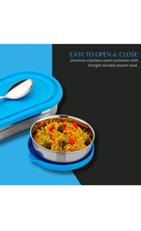 HET Enterprises  ₹163 WCP Stainless Steel Oval Lunch Box 2 Container Lunch Box 0hhy42 M 256 - Blue