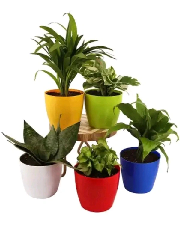 USD $ 10.00 WE DEAL IN HIGH QUALITY PRODUCT AT AFFORDABLE PRICES. Ubbiskart UNBREAKABLE PREMIUM GRADE PLASTIC POT/GAMLA FOR INDOOR/OUTDOOR Plant Container Set (Pack of 5, Plastic) rb.gy/etk61s