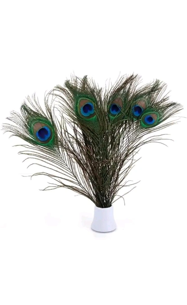 USD $ 10.00 RAJMART GLOBAL Pack of 15 Decorative Feathers (15-20 Peacock Feather)  rb.gy/1xs5cd