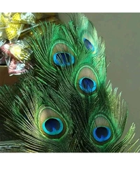 USD $ 10.00 RAJMART GLOBAL Pack of 15 Decorative Feathers (15-20 Peacock Feather)  rb.gy/1xs5cd