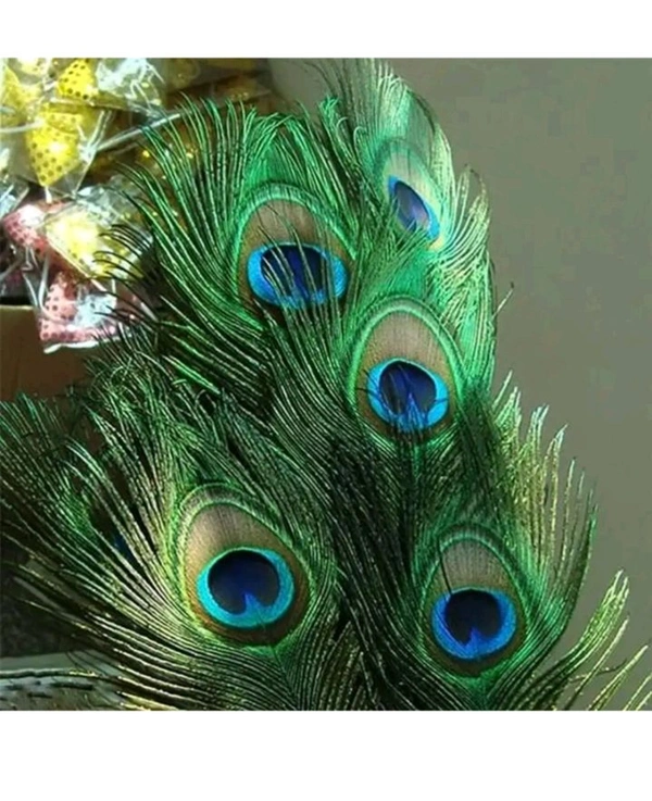 USD $ 10.00 RAJMART GLOBAL Pack of 15 Decorative Feathers (15-20 Peacock Feather)  rb.gy/1xs5cd
