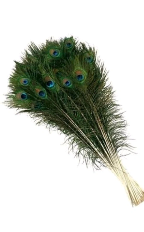 USD $ 10.00 RAJMART GLOBAL Pack of 15 Decorative Feathers (15-20 Peacock Feather)  rb.gy/1xs5cd