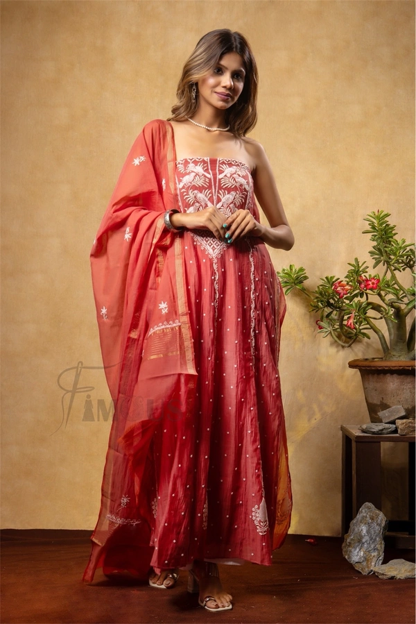 Rust Chikankari And Zardozi Anarkali And Dupatta Set - Semi Stiched, Rust