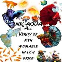 NK FISH AQUARIYUM - Logo