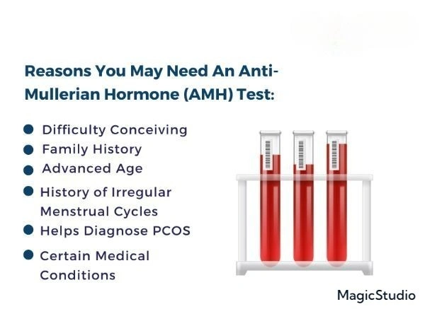 Anti-Mullerian Hormone (AMH) Test