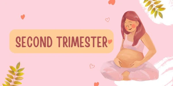 PREGNANCY PROFILE C (SECOND TRIMESTER)