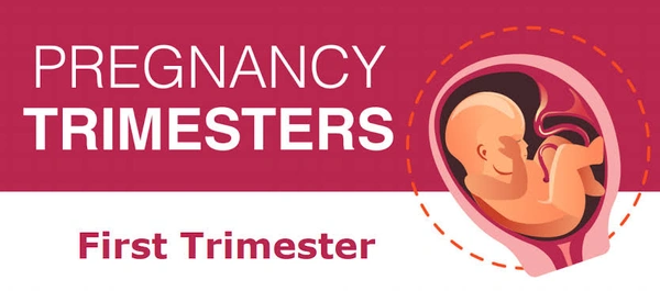 PREGNANCY PROFILE  (FIRST TRIMESTER