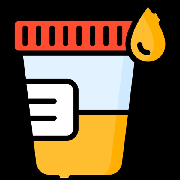 Urine Routine & Analysis 