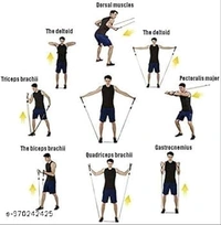 Single Rope Exercise Bands
