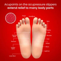 Dr. Ortho Acupressure Slippers UK 5 (247mm) - UK 5 (247mm)