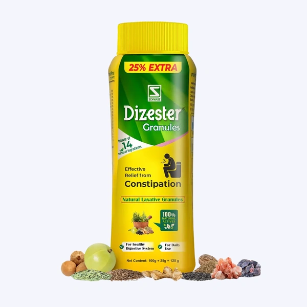Dr Willmar Schwabe India Pvt Ltd Dr Willmar Schwabe India Dizester Granules (125gm)