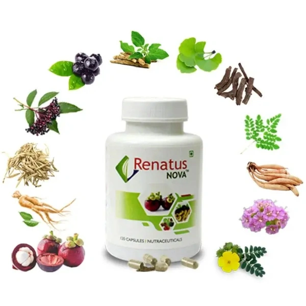 Renatus Wellness Renatus Nova Capsule (120caps)