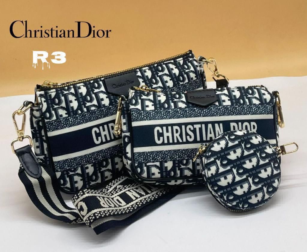 CRISTIAN DIOR**Christian Dior Multi-Pochette Accessories Is The New Eva  Bag* Top Quality. ✨Combo of 3 pcs for all your accessories. ✨Removeable  easily ✨Packing in Branded Dust Bag. ✨All over Brandingwith box