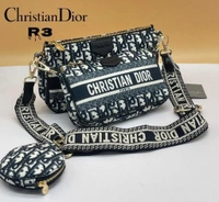 *CRISTIAN DIOR**Christian Dior Multi-Pochette Accessories Is The New Eva Bag* Top Quality. ✨Combo of 3 pcs for all your accessories. ✨Removeable easily  ✨Packing in Branded Dust Bag. ✨All over Brandingwith box - Black, 9*5