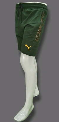 NS Lycra  Men track shorts  - L, Green