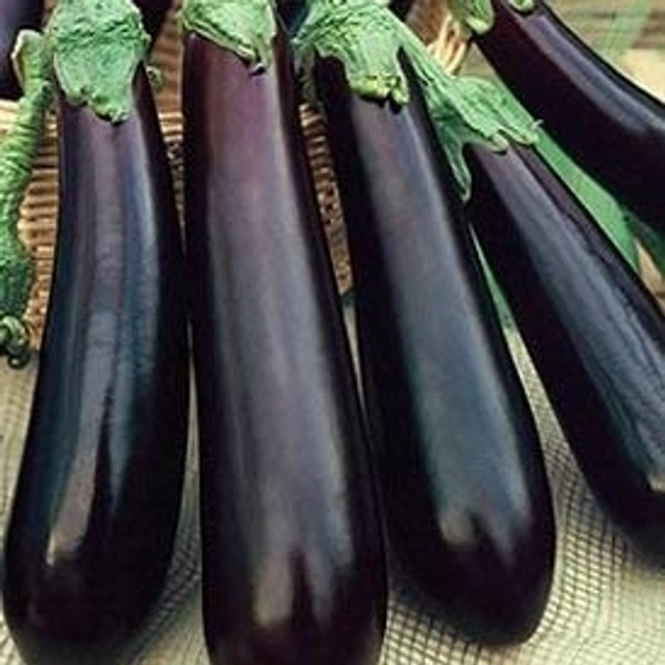 Brinjal -Bharta- 500gm