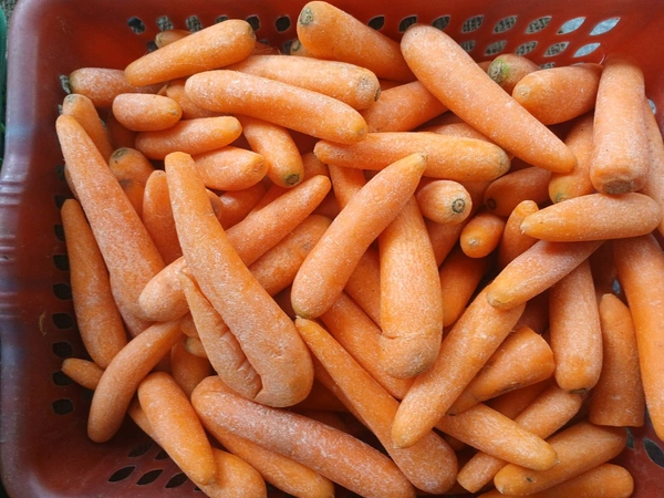 Carrot (Gajar) -500gm