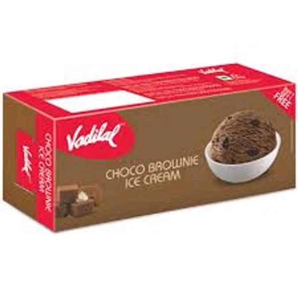 Vadilal Chocochip Brick