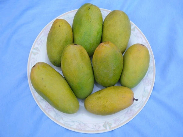 Mango Dasheri - 1kg