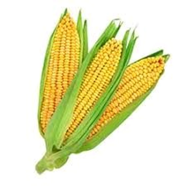 Sweet Corn - 500gm